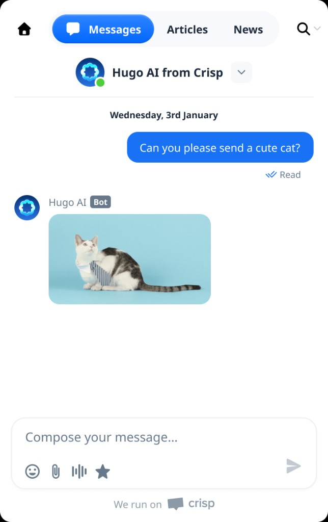 chatbot-message-types-gifs